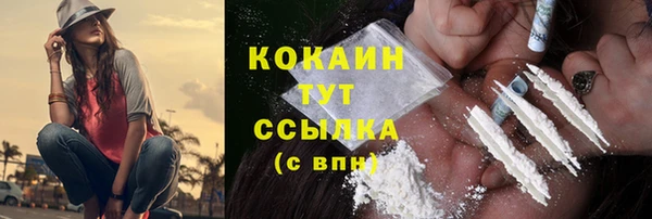 прущий лед Алзамай