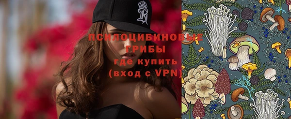 прущий лед Алзамай