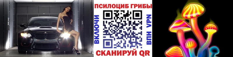 дарнет шоп Щигры Галлюциногенные грибы Psilocybine cubensis